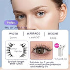Magnetic Eyelashes without Eyeliner